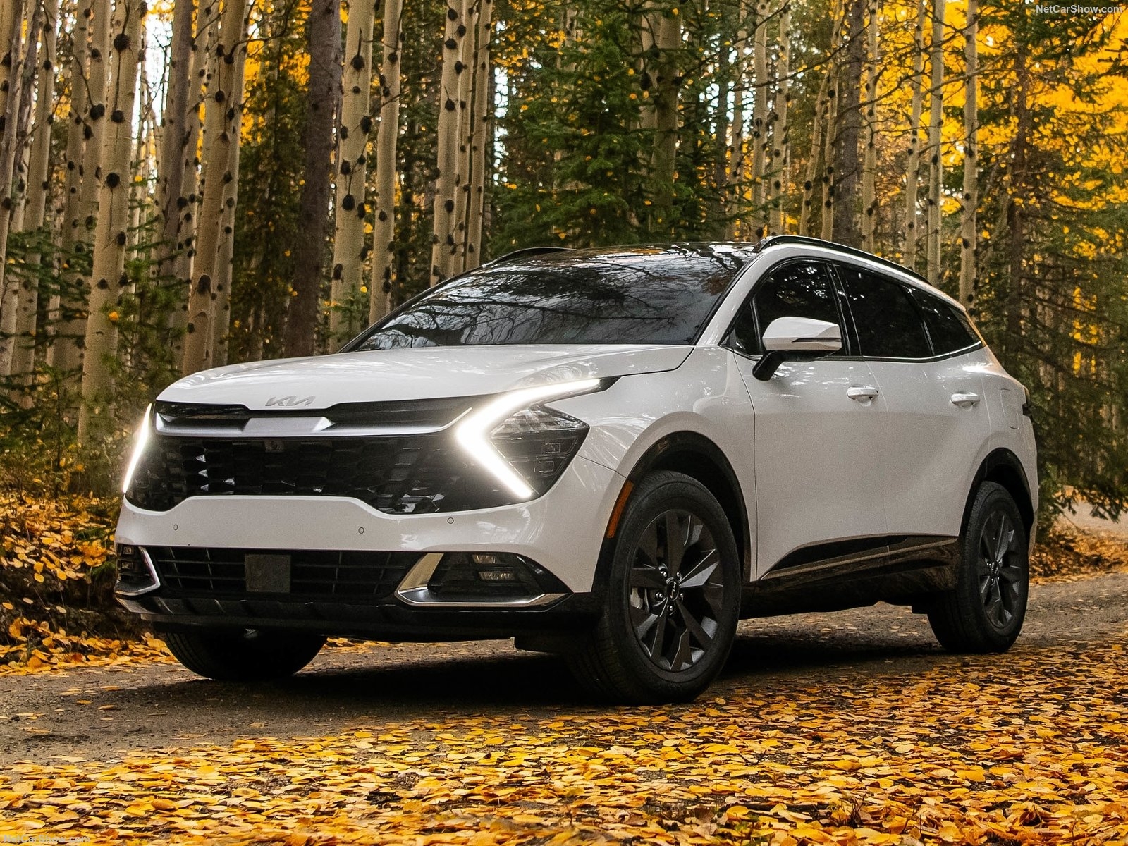 Groupe beaucage kia sportage 2023 blanc en forêt